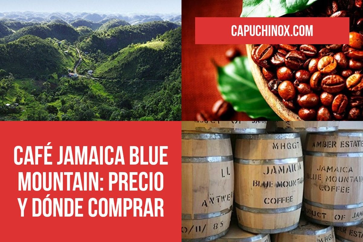 Café Jamaica Blue Mountain: Precio y dónde comprar este café tan bueno y tan caro