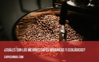 ¿Cuáles son los mejores cafés orgánicos y ecológicos?