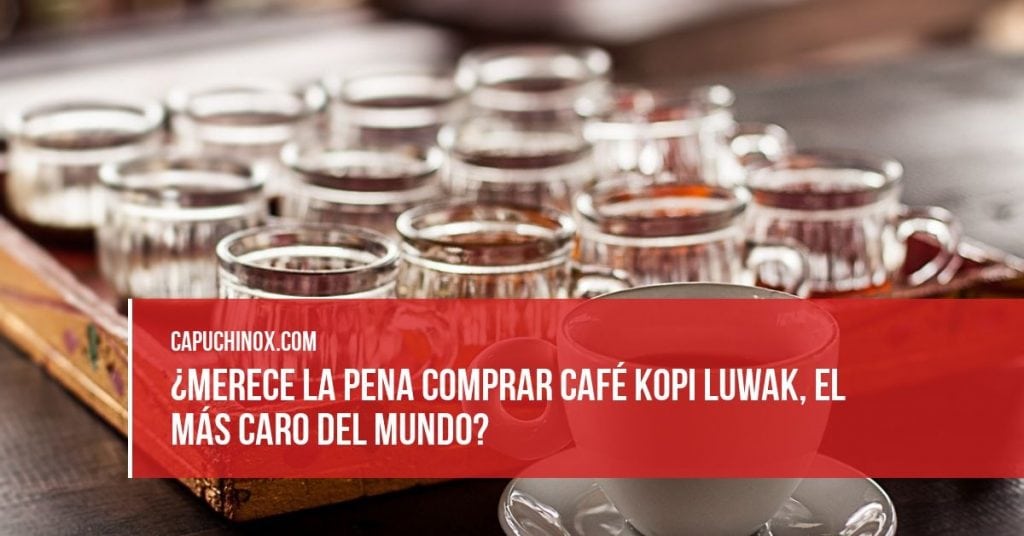 ¿Merece la pena probar el café Kopi Luwak a pesar de su alto precio?