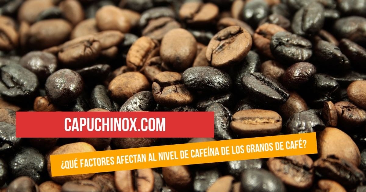 ¿Qué factores afectan al nivel de cafeína de los granos de