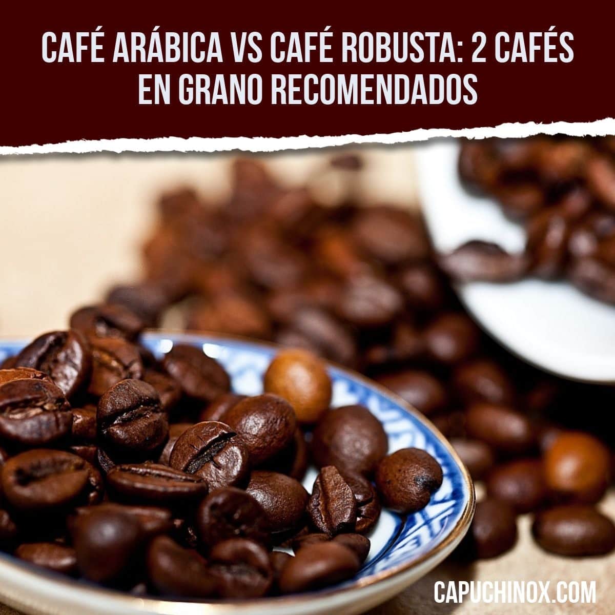 Comprar café Arábica vs café Robusta resolvemos todas tus