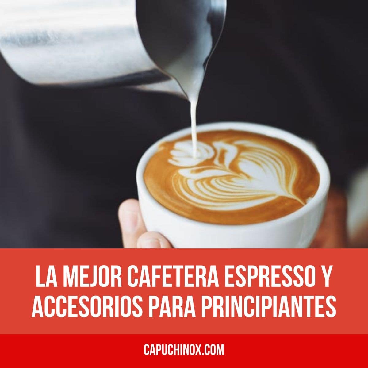 La mejor cafetera espresso y accesorios para principiantes (tazas de café, prensadores, jarras de leche, molinillo)