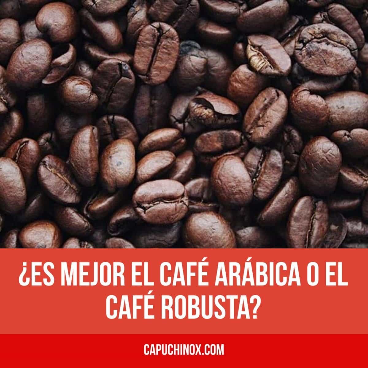 ¿Es mejor el café Arábica o el café Robusta?